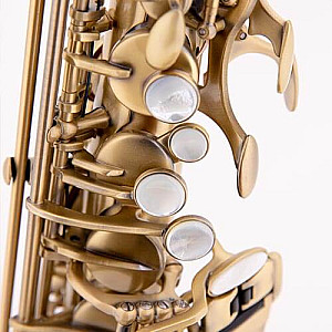 Alto CAS50 Chambord Alto Chateau Antique 